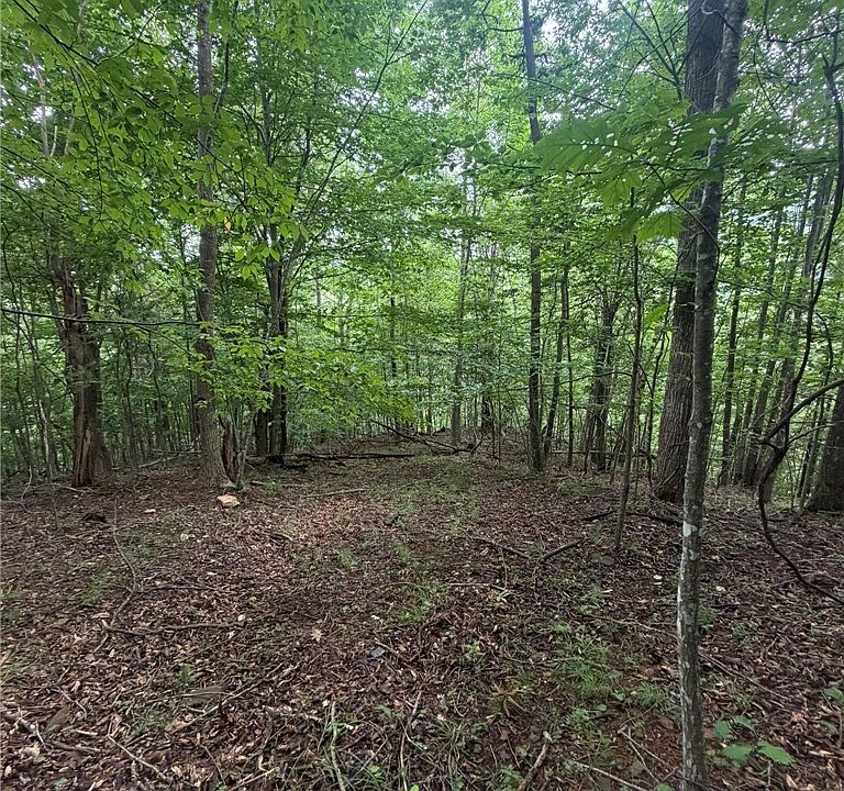 1st image of TBD Edwin Blevins Road