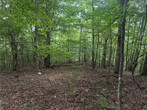 TBD Edwin Blevins Road, Jefferson, NC 28640