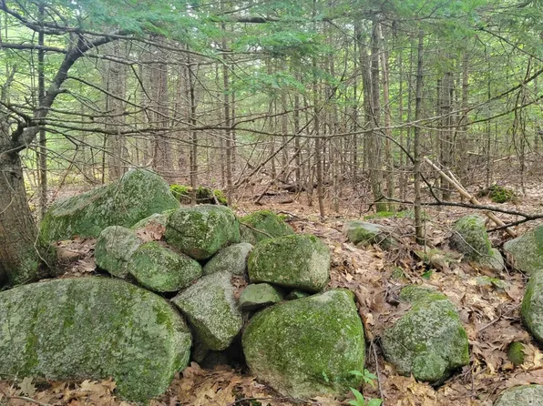 Lot 4 Merrill Drive, Harrison, ME 04040