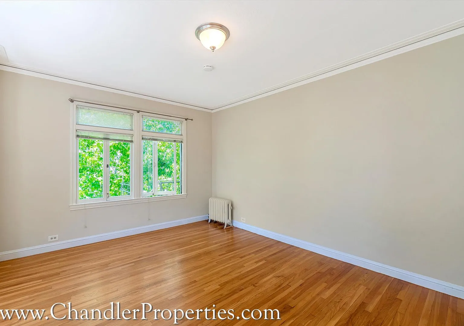 1535 Green Street Apartments* — Photo 3