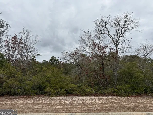 0 Plantation Pines Dr, Blackshear, GA 31516