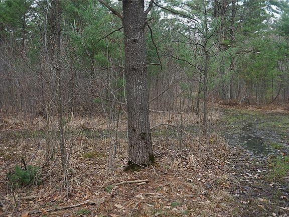 2nd image of 30 Acres Kovar Road