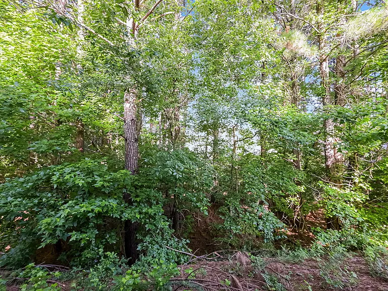 6755 Hill Rock Ln — Photo 17