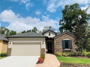 105 Elina Sky Dr, Seffner, FL 33584