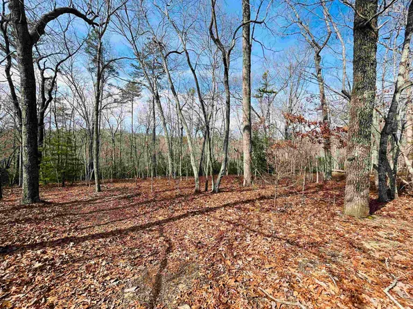 0 Blackberry Ln, Clarkesville, GA 30523