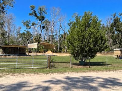 2019 River Rd, Steinhatchee, FL, 32359