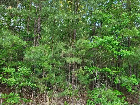 0 Gray Lake Dr, Princeton, LA 71067