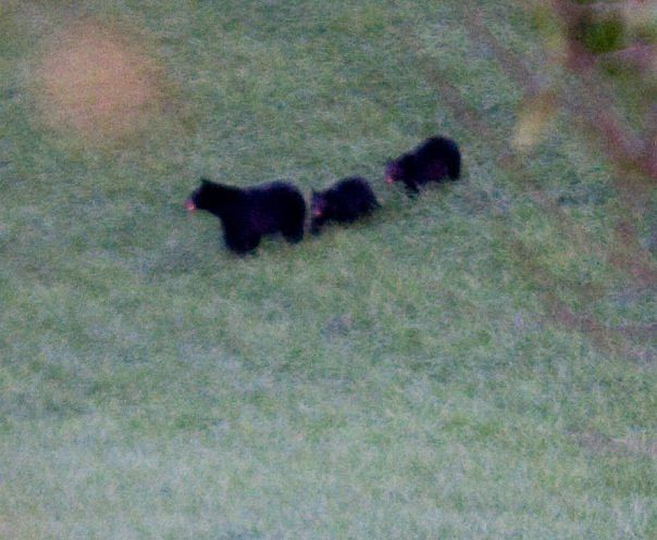 2nd image of 31114 Rich Valley Rd