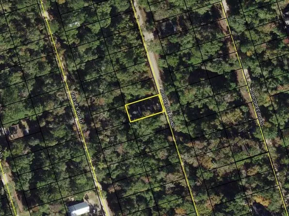 LOT 59 Rochelsie Rd, Crawfordville, FL 32327