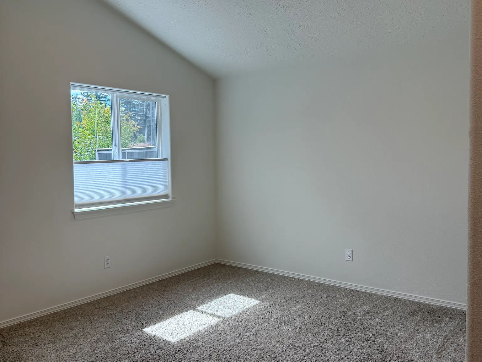1 bed, 600 sqft, $2,000 — Photo 3