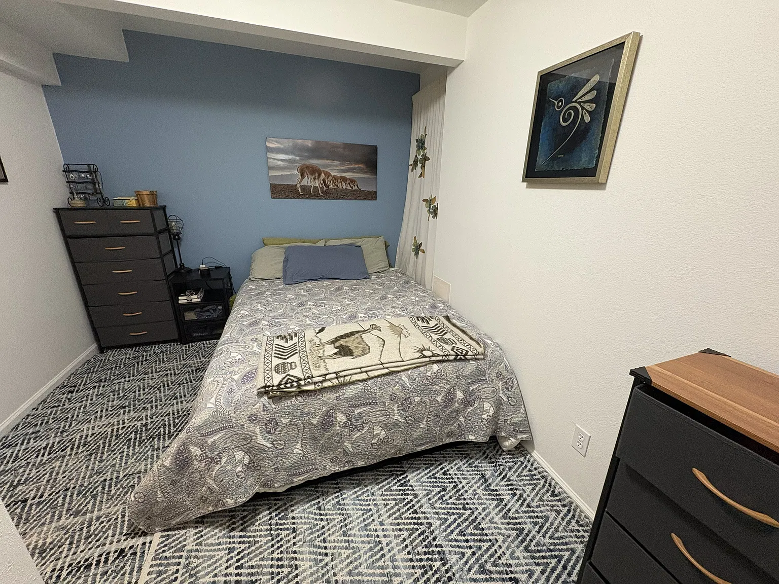 Quail Cir, Boulder — Photo 4