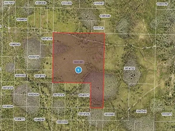 Water Rd, Groveland, FL 34736