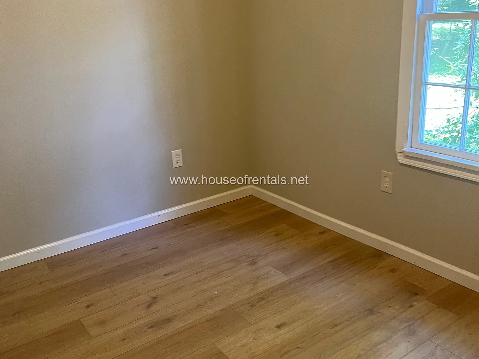 17 Orchard Drive - B — Photo 4