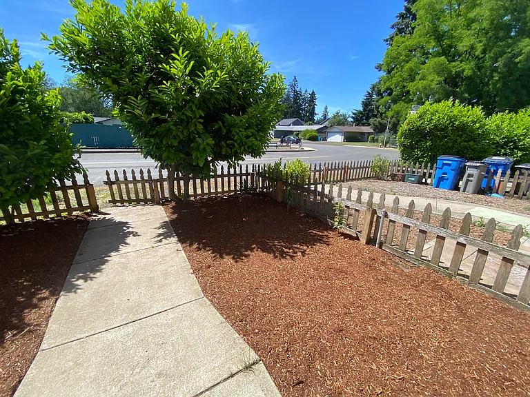 Front yard