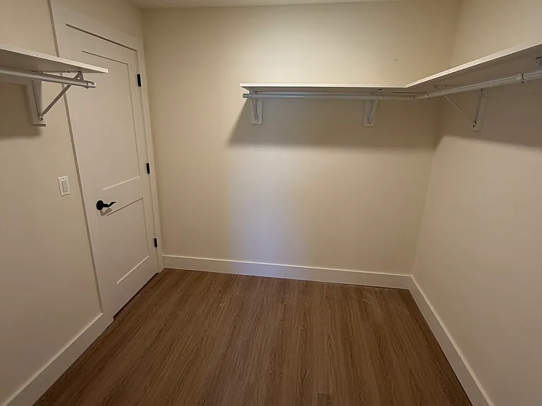 Primary walk-in closet