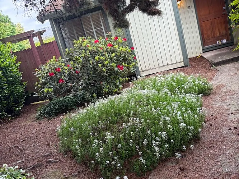 501 Mountainview Ct — Photo 1