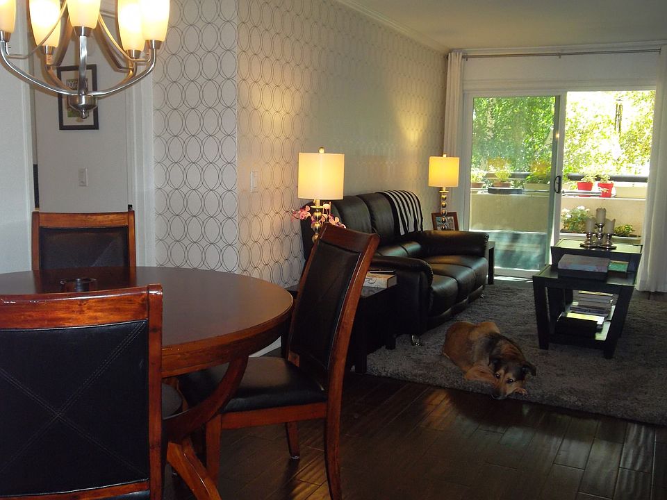 Dining / Living Room