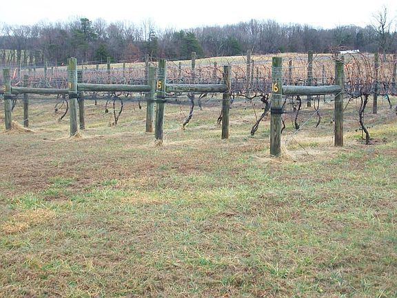 5th image of 1220 Gap Rd