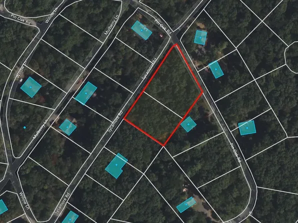 Sycamore Rd, Mount Jackson, VA 22842