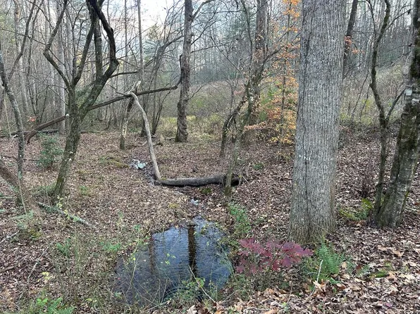 12 Tombstone Dr, Blairsville, GA 30512