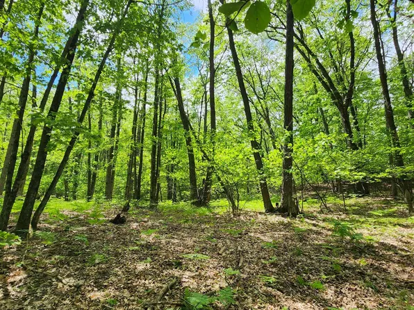 LOT 827 Hemlock Ln, Farwell, MI 48622