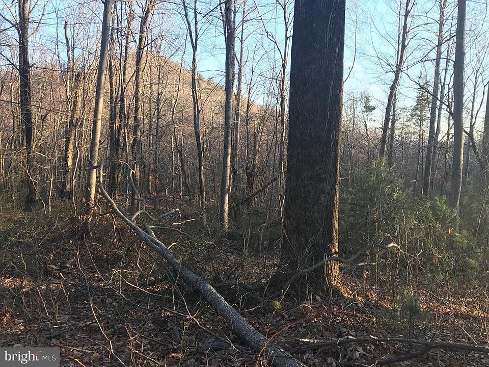 2nd image of Lost Valley Rd