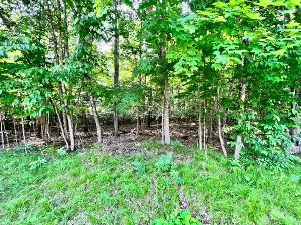 0 Big Wolf Island Lot 65, Hayward, WI 54843