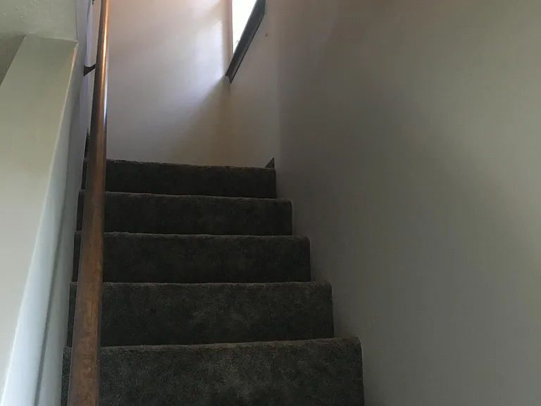 1101 Teaberry Ln — Photo 16