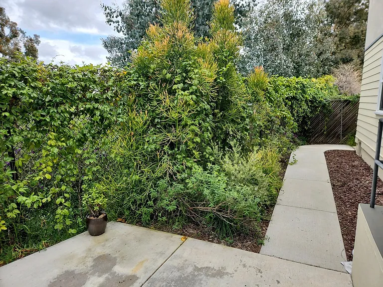 your own private backyard with access off the kitchen