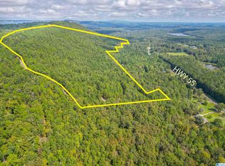 16003 State Highway 55 #53 AC +/-, Sterrett, AL 35147