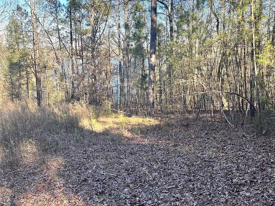 1st image of 0 Bluff Rd