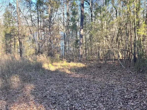 0 Bluff Rd, Elberton, GA 30635