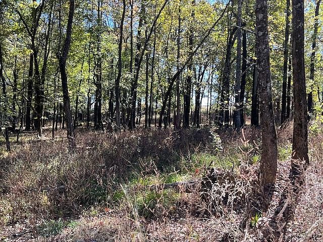 1st image of 176 Deer Valley Circle
