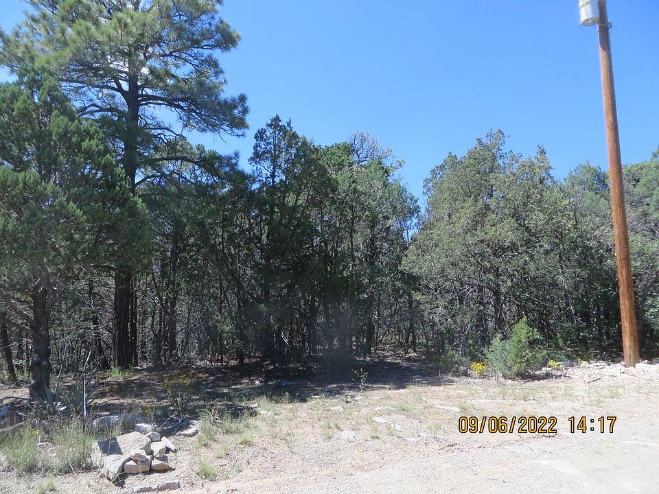 2nd image of 10 Blackbird Rd