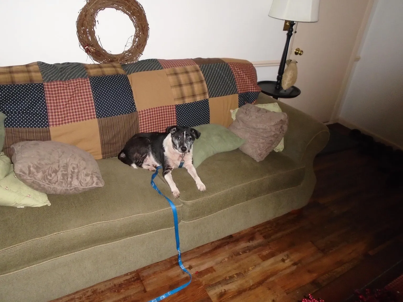 2 bed, 1232 sqft, $750 — Photo 3