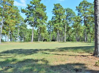 470 NE Pelham Trl, Vass, NC 28394