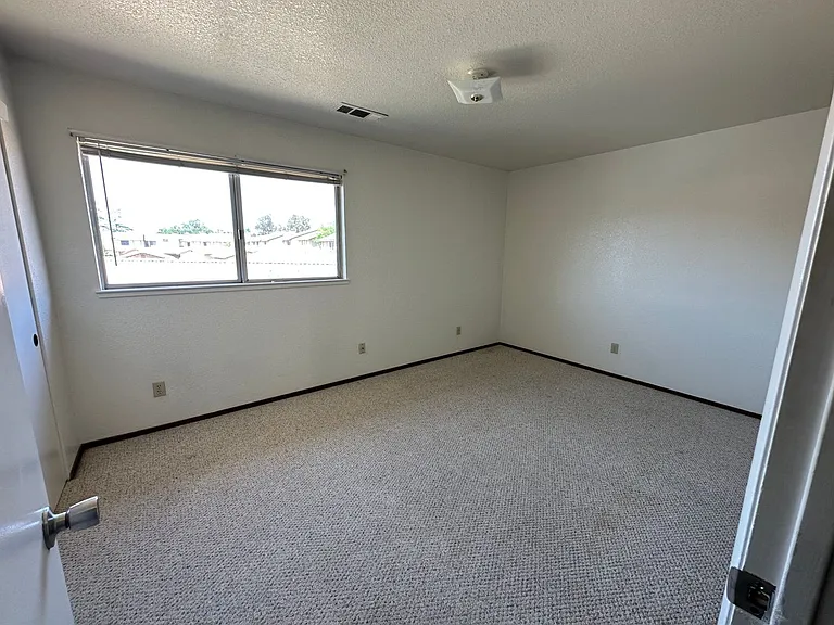 3050 Andre Ln — Photo 14