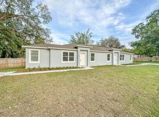 425 Thompson Ave, Groveland, FL 34736