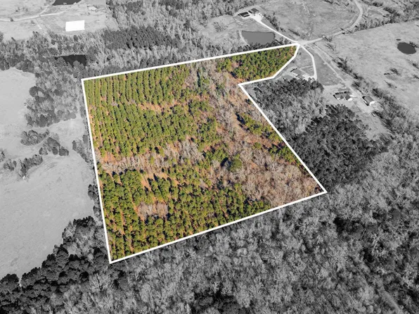 0 Eagle Court Rd, Diana, TX 75640