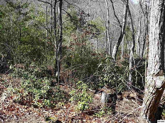 4th image of 7 Little Round Top Ln Lot 7