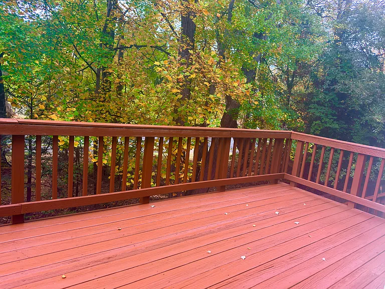 9590 Lagersfield Cir — Photo 37