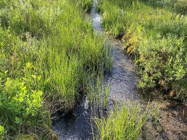 Grouse Hill Dr, Anaconda, MT 59711