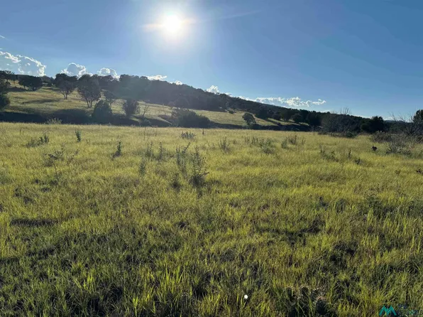 8354 Us Highway 380, Capitan, NM 88316
