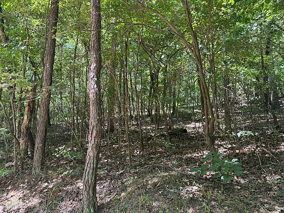 2nd image of 595 Ridgeview Lake Rd