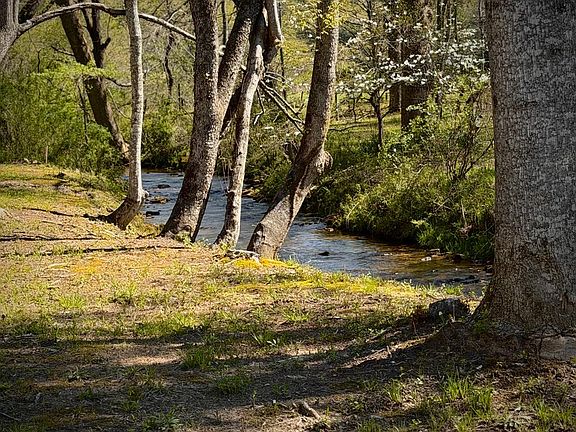 4th image of 33 Pigeon Creek Rd