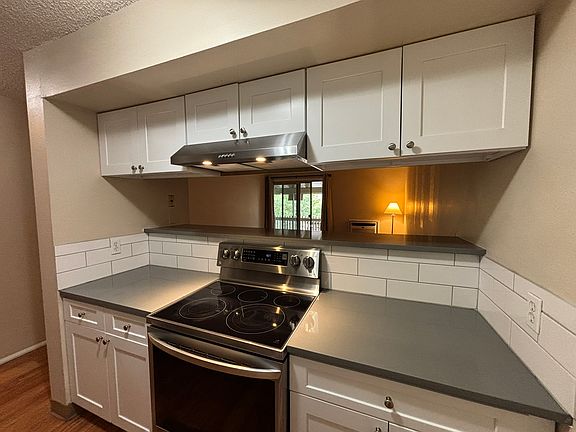 Stainless appliances