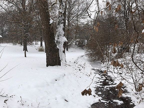 Creek