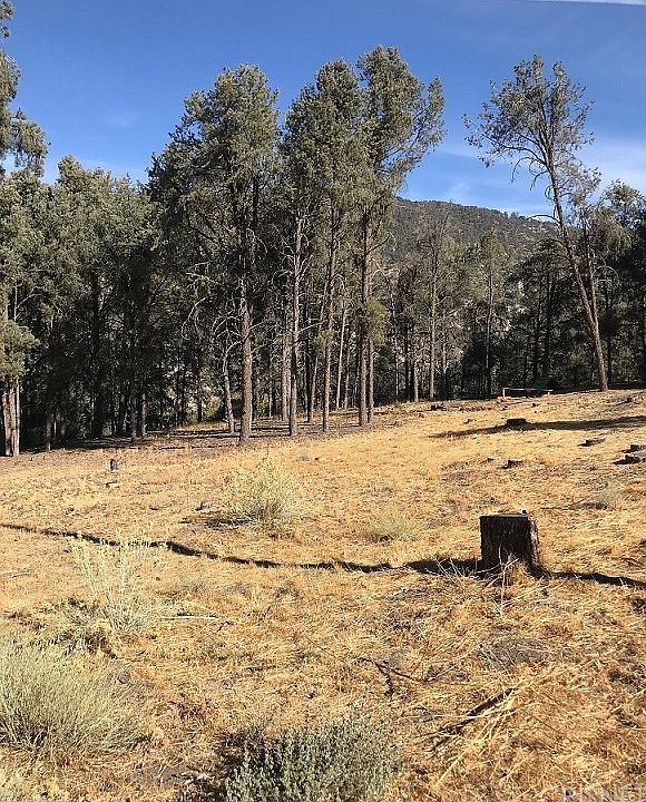 2nd image of 13913 Yellowstone Dr