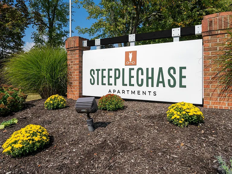 Steeplechase — Photo 36