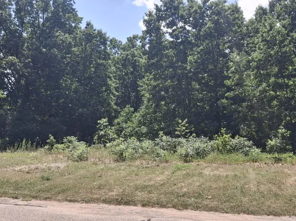 8625 Sunset Dr, Orleans, MI 48865